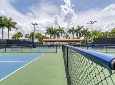Factors That Determine The Cost Of Your Dream Pickleball Court
